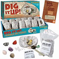 DIG IT UP! MINERALS/FOSSILS