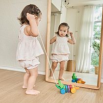 PLAN RAINBOW ALLIGATOR