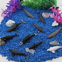 WHALES TOOB
