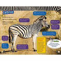 NGR NATIOANL GEOGRAPHIC READERS  Great Migrations Amazing Animal Journeys--LAURA MARSH