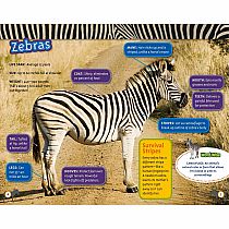 NGR NATIOANL GEOGRAPHIC READERS  Great Migrations Amazing Animal Journeys--LAURA MARSH