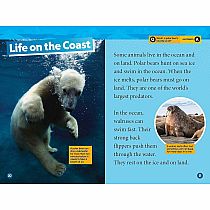 NGR NATIOANL GEOGRAPHIC READERS ARCTIC ANIMALS--Jennifer Szymanski