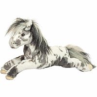 STARSKY APPALOOSA HORSE