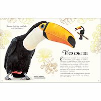 ANTHOLOGY OF EXQUISIT BIRDS---Ben Hoare  Angela Rizza  Daniel Long