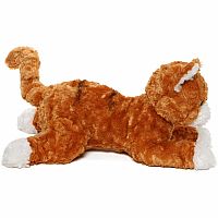 SIENNA ORANGE TABBY