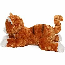 SIENNA ORANGE TABBY