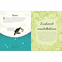 ANTHOLOGY OF STAGAZING