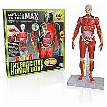 Science to the Max - Interactive Human Body