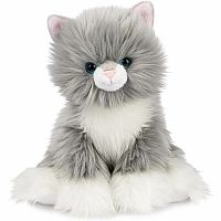 CAMILLA KITTEN
