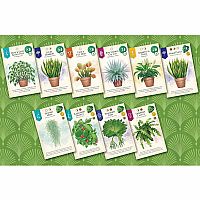 VERDANT GAME
