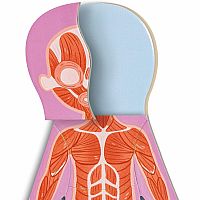 HUMAN BODY MAGNETIC PUZZLE