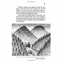 CYOA  Secret of the Ninja---JAY LEIBOLD