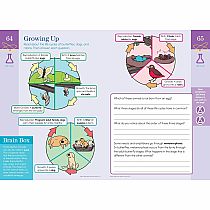 Summer Brain Quest: Between Grades 2 & 3