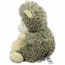 ZIGGY HEDGEHOG