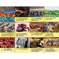 NGR NATIOANL GEOGRAPHIC READERS  Great Migrations Amazing Animal Journeys--LAURA MARSH