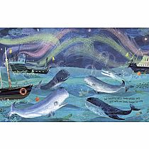 LIGHTS THAT DANCE IN THE NIGHT  --Yuval Zommer