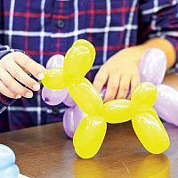 How To Make Balloon Animals Kit