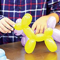 How To Make Balloon Animals Kit