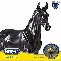 BREYER ENCORE & TOR