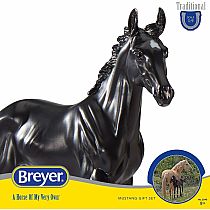 BREYER ENCORE & TOR