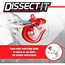 DISSECT-IT SALAMANDER LAB