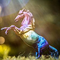 BREYER JEWELS