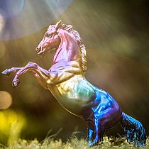 BREYER JEWELS