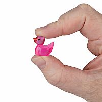 TEENY TINY DUCKS