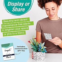 POP UP COLORING SUCCULENT