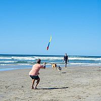 Foxtail Sport