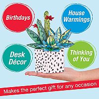 POP UP COLORING SUCCULENT
