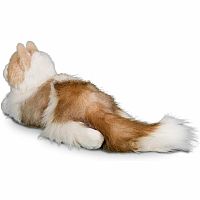 Kiki Ragdoll Cat