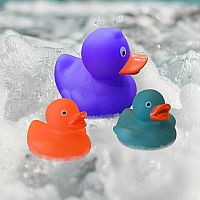 COLOR CHANGING DUCKS
