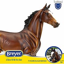 BREYER TIZ THE LAW