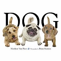 DOG  --MATTHEW VAN FLEET BRIAN STANTON