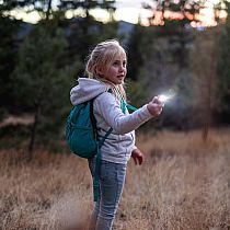LIFELIGHT FLASHLIGHT LIZARD