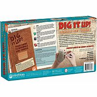 DIG IT UP! MINERALS/FOSSILS