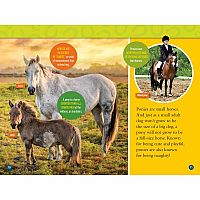 NGR NATIONALGEOGRAPHIC READERS  GALLOP 100 FUN FACTS HORSE--KITSON JAZYNKA
