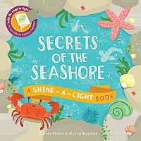 SHINE-A-LIGHT SECRECT/SEASHORE  - Carron Brown, Alyssa Nassner