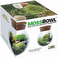 MOSS BOWL GROW YOUR OWN OASIS