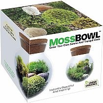 MOSS BOWL GROW YOUR OWN OASIS