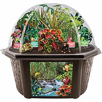 RAINFOREST GARDEN BIOSPHERE