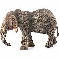 African Elephant, Female