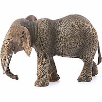 African Elephant, Female