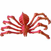 TWIDDLE SPIDER