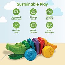 PLAN RAINBOW ALLIGATOR