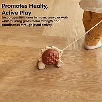 PULL ALONG HEDGEHOG BROWN