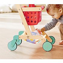 LITTLE SHOPPER'S CART/BASKET