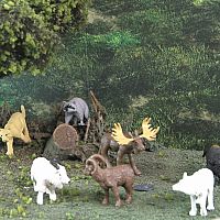 North American Wildlife Toob