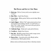 Little Wildflowers Stained Glass Coloring Book